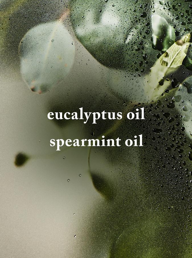 EUCALYPTUS SPEARMINT