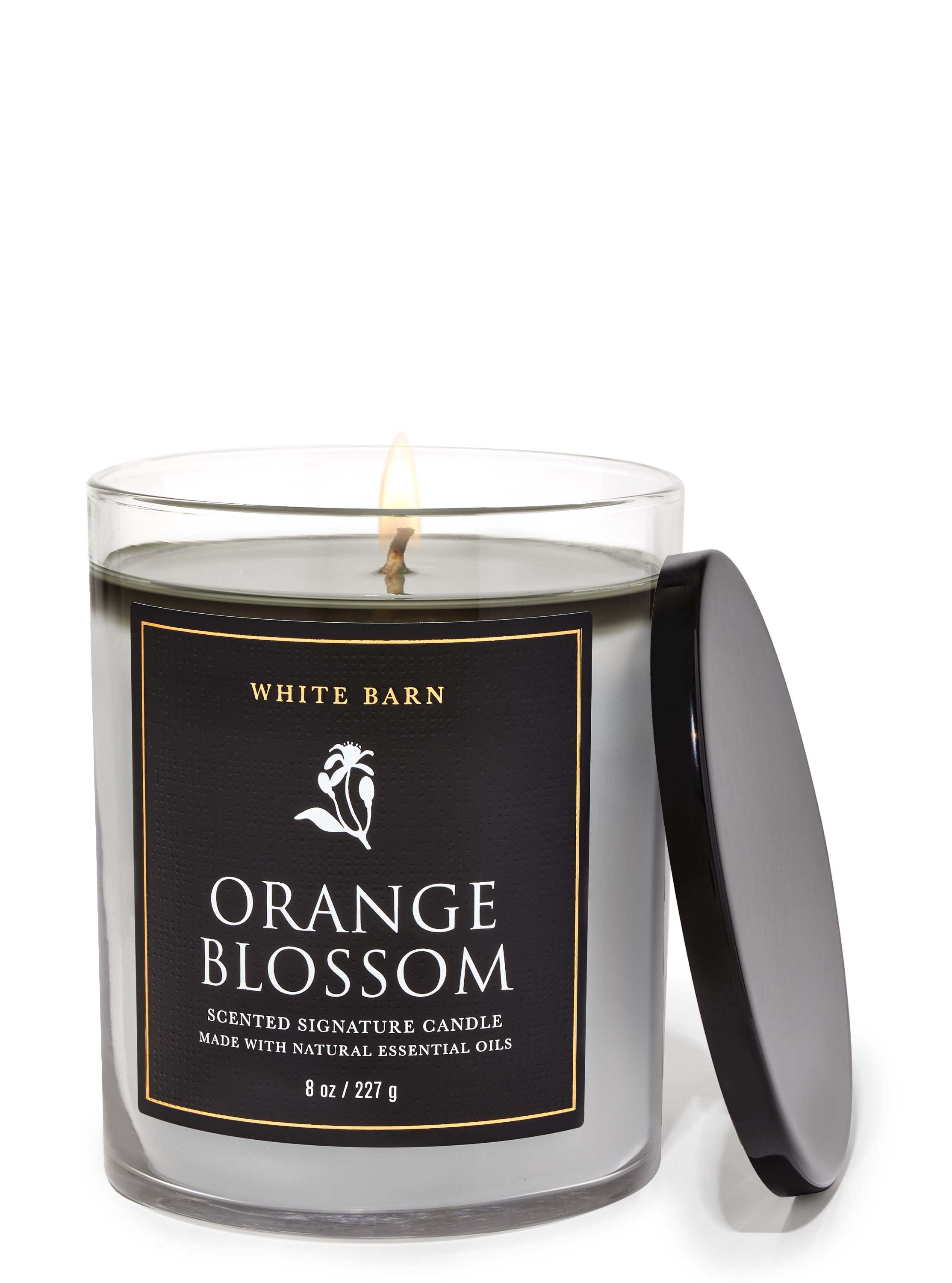 Orange Blossom image number 0