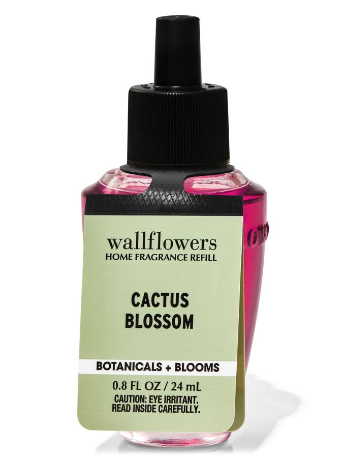 Cactus Blossom